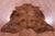 Brindle Natural Cowhide Rug - Large 6'11"H x 5'11"W