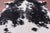 Black & White Natural Cowhide Rug - X-Large 7'7"H x 6'0"W