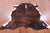 Brindle Brown Natural Cowhide Rug - Large 6'11"H x 6'5"W