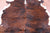 Brindle Brown Natural Cowhide Rug - Large 6'11"H x 6'5"W