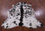 Salt & Pepper Natural Brown Cowhide Rug - Large 6'8"H x 6'1"W