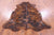 Brindle Natural Cowhide Rug - XLarge 7'6"H x 6'8"W