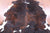 Brindle Tricolor Natural Cowhide Rug - XLarge 8'1"H x 6'7"W