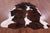 Tricolor Natural Cowhide Rug - XLarge 7'3"H x 6'8"W