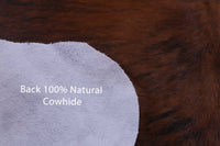 Thumbnail for Brindle Brown Natural Cowhide Rug - Medium 6'2