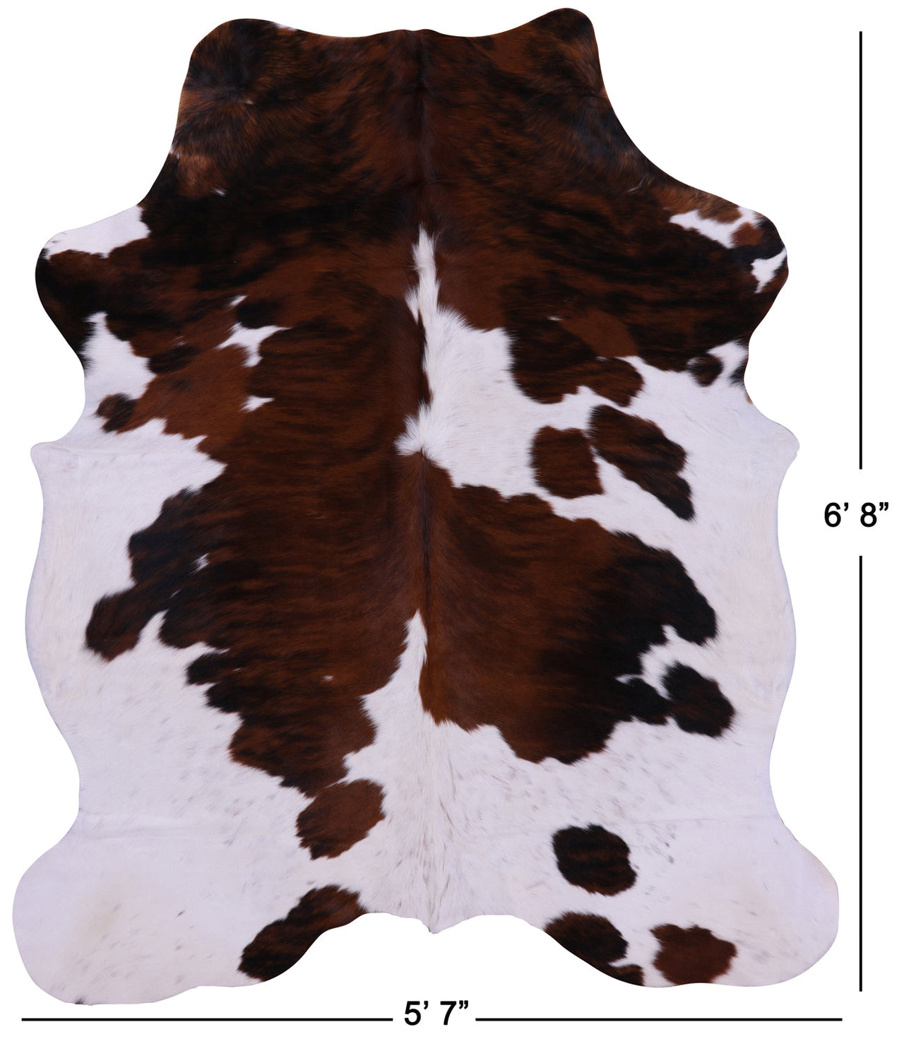 Brown & White Natural Cowhide Rug - Large 6'8"H x 5'7"W