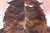 Brindle Natural Cowhide Rug - Medium 6'5"H x 5'5"W