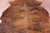 Brindle Natural Cowhide Rug - Medium 6'6"H x 6'1"W