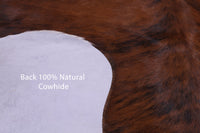 Thumbnail for Brindle Natural Cowhide Rug - Medium 6'5