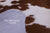 Brown & White Natural Cowhide Rug - Medium 6'6"H x 5'3"W