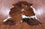 Tricolor Natural Cowhide Rug - Medium 6'2"H x 5'4"W