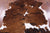 Tricolor Natural Cowhide Rug - Medium 6'2"H x 5'4"W