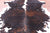 Tricolor Natural Cowhide Rug - Medium 6'5"H x 6'2"W