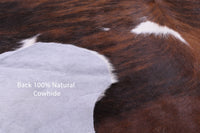 Thumbnail for Brindle Natural Cowhide Rug - Medium 6'6