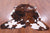 Brindle Natural Cowhide Rug - Large 6'8"H x 5'11"W