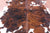 Brindle Natural Cowhide Rug - Large 6'8"H x 5'11"W