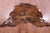 Brindle Natural Cowhide Rug - Large 6'9"H x 6'4"W