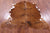 Brown Natural Cowhide Rug - Medium 6'5"H x 5'9"W