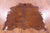 Brown Natural Cowhide Rug - Small 5'7"H x 5'2"W