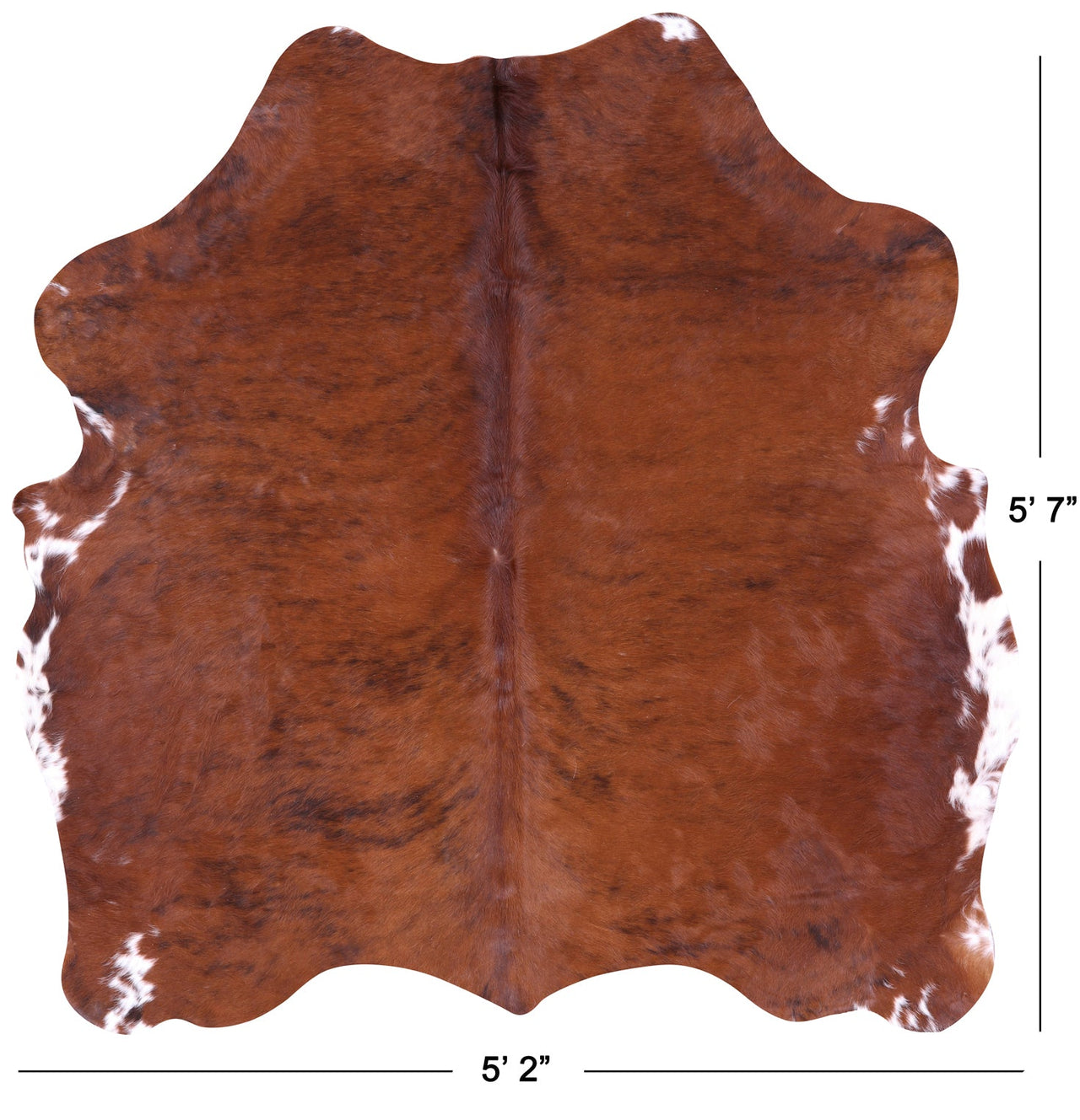 Brown Natural Cowhide Rug - Small 5'7"H x 5'2"W