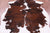 Brown & White Natural Cowhide Rug - Small 6'2"H x 5'7"W