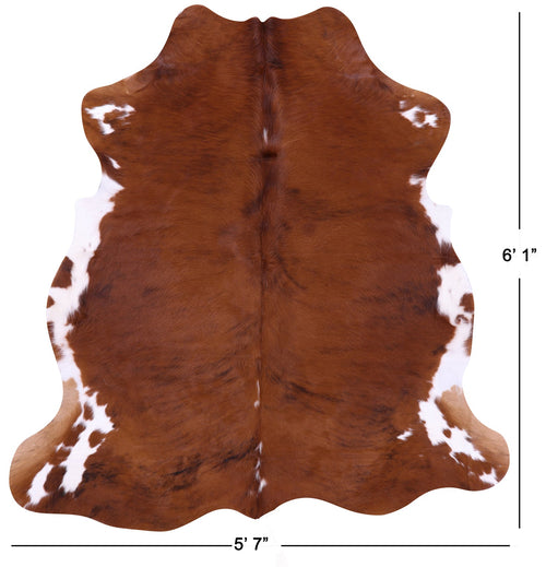 Brown & White Natural Cowhide Rug - Medium 6'1