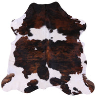 Thumbnail for Tricolor Natural Cowhide Rug - Small 6'0