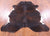Dark Brindle Natural Cowhide Rug - Medium 6'2"H x 5'7"W