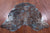 Metallic Natural Cowhide Rug - Large 6'6"H x 5'11"W