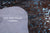 Metallic Natural Cowhide Rug - Large 6'6"H x 5'11"W