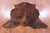 Brindle Natural Cowhide Rug - Small 5'10"H x 5'6"W
