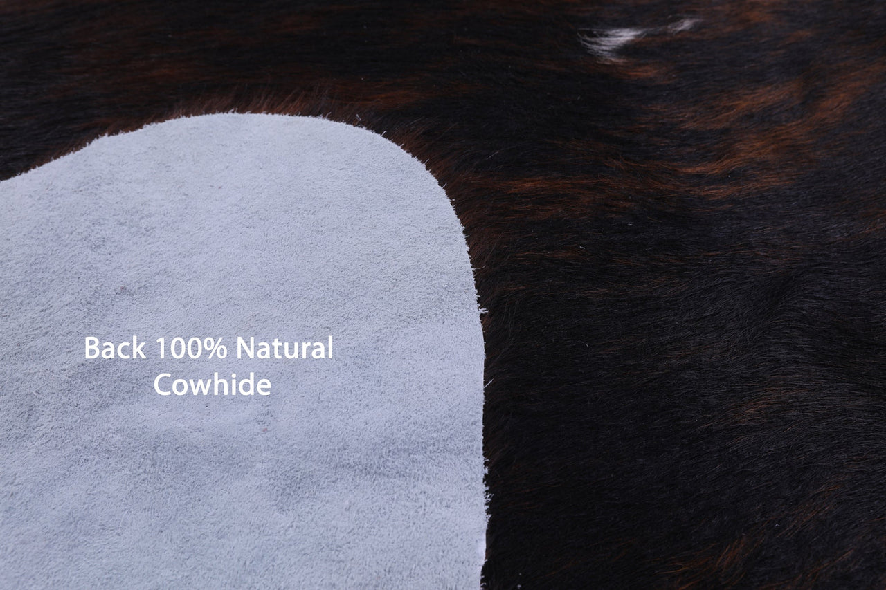 Tricolor Natural Cowhide Rug - Small 5'5"H x 6'0"W