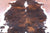 Brindle Natural Cowhide Rug - Large 6'10"H x 6'2"W