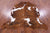 Brown & White Natural Cowhide Rug - Large 6'10"H x 5'11"W