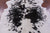 Black & White Natural Cowhide Rug - Large 7'0"H x 6'2"W