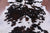 Tricolor Natural Cowhide Rug - X-Large 7'1"H x 6'10"W