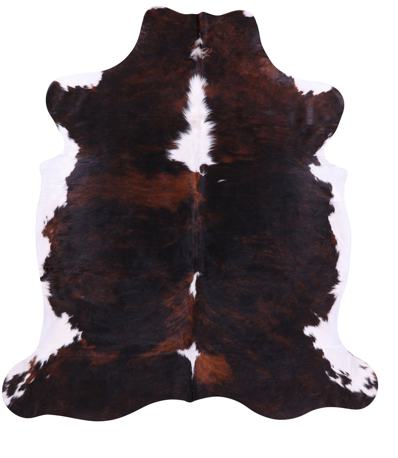 Tricolor Natural Cowhide Rug - Large 6'11"H x 6'3"W