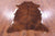 Brindle Natural Cowhide Rug - X-Large 7'2"H x 5'1"W
