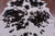 Black & White Natural Cowhide Rug - Large 6'7"H x 5'11"W