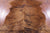 Brindle Natural Cowhide Rug - Medium 6'2"H x 5'2"W