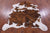 Brindle Natural Cowhide Rug - Medium 6'3"H x 5'7"W