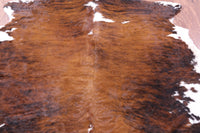 Thumbnail for Brindle Natural Cowhide Rug - Medium 6'5