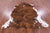Brindle Natural Cowhide Rug - X-Large 7'0"H x 6'7"W