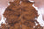 Brindle Natural Cowhide Rug - X-Large 7'0"H x 6'7"W