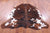 Brindle Natural Cowhide Rug - Large 6'6"H x 6'1"W