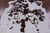 Brown & White Natural Cowhide Rug - Large 6'6"H x 5'10"W