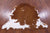 Brown & White Natural Cowhide Rug - Small 5'7"H x 5'8"W