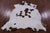 Brown & White Natural Cowhide Rug - Medium 5'11"H x 5'3"W
