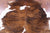 Tricolor Natural Cowhide Rug - Medium 6'0"H x 6'2"W