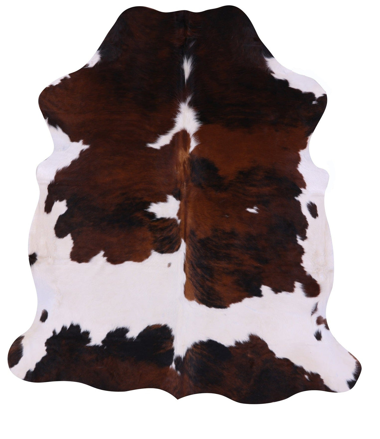 Tricolor Natural Cowhide Rug - Large 6'7"H x 6'0"W